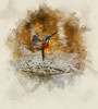 Bird 8 Watercolor Poster Print - Rachel Lee