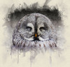 Bird 9 Watercolor Poster Print - Rachel Lee