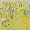 Joyful In July II Poster Print - Shirley Novak