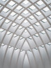 White Design Poster Print - Artographie