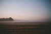 Foggy Field Poster Print - Rachel Lee