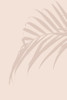 Palm Leaf Poster Print - Design Oju