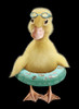 DUCK Poster Print - Adam Lawless