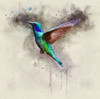 Bird 48 Watercolor Poster Print - Rachel Lee