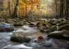 Dreamy Autumn Poster Print - Danny Head