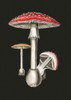 Amanita Muscaria Dark Background Poster Print - Pictufy