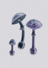 Amanita Muscaria  White Backgound Purple Poster Print - Pictufy