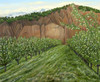 Quince Trees Poster Print - Angeles M. Pomata