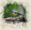 Bird 22 Watercolor Poster Print - Rachel Lee