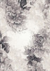 Poster 50x70 Flower01xa Hl Poster Print - Rafal Kulik