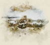 Bird 12 Watercolor Poster Print - Rachel Lee