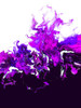 Purple Colorful Wave Poster Print - Alyson Storms