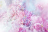 Ombre089flower Poster Print - Rafal Kulik