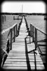 Beach 28 BW Holga Poster Print - Rachel Lee