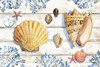 Bahia Shells Wood Horizontal Poster Print - Paul Brent