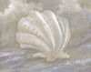 Impressions of Shells IV - Scallop - Neutral Poster Print - Paul Brent