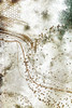 Boho art 11 Poster Print - Rafal Kulik