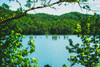 Ocoee Summer 2 Poster Print - Will Malone