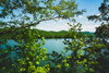 Ocoee Summer 3 Poster Print - Will Malone