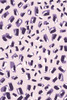 Little Purple Strokes Poster Print - Treechild
