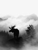 Moose Poster Print - Gabriella Roberg