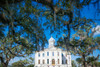 Live Oak Courthouse Poster Print - Will Malone