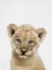 Peekaboo Baby Lion Poster Print - Lola Peacock