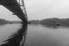 Hartwell Fog 3 Poster Print - Will Malone