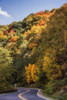 Fall Bend Poster Print - Rachel Lee