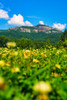 Table Rock Vertical Poster Print - Will Malone