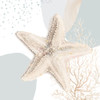 Ocean Oasis Bubbles Starfish Poster Print - Patricia Pinto