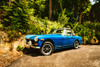 Little Blue Car Poster Print - Will Malone