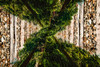 Saluda Tracks Upside Down Poster Print - Will Malone