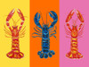 Lobster Langoustines Pop Art 3 Poster Print - Alice Straker