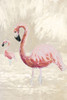 Flamingos on Taupe Poster Print - Jane Slivka