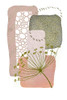 Delicate Pink and Green-2 Poster Print - Sally Ann Moss