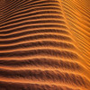 Desert 3 Poster Print - Rachel Lee