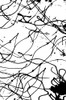 String Theory Poster Print - Kali Wilson