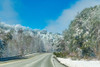 Snow Road Poster Print - Will Malone