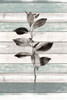 Tonal Leaves on Wood III Poster Print - Lanie Loreth