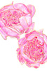 Sallys peonies Poster Print - Blursbyai Rosana Laiz