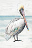 Pelican On The Shore II Poster Print - Patricia Pinto