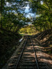 Train Track 2 Poster Print - Rachel Lee