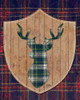 Tartan Shield On Plaid II Poster Print - Elizabeth Medley