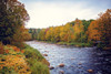 Scenic River Poster Print - Kelly Poynter