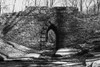 Poinsett Bridge 7 BW Poster Print - Will Malone