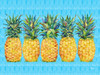 Kona Pineapple Horizontal - Azul Lines Poster Print - Paul Brent