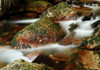 Stream 5 Poster Print - Rachel Lee