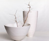 Porcelain and thorns Poster Print - Pamela Brighton