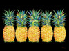 Kona Pineapple Horizontal - Black Poster Print - Paul Brent